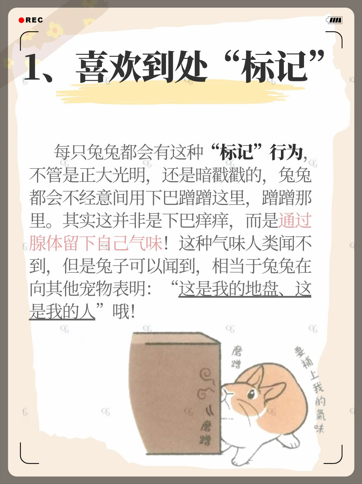 我的兔子好软水好多免费的网站动漫我的兔子好软，免费网站大揭秘
