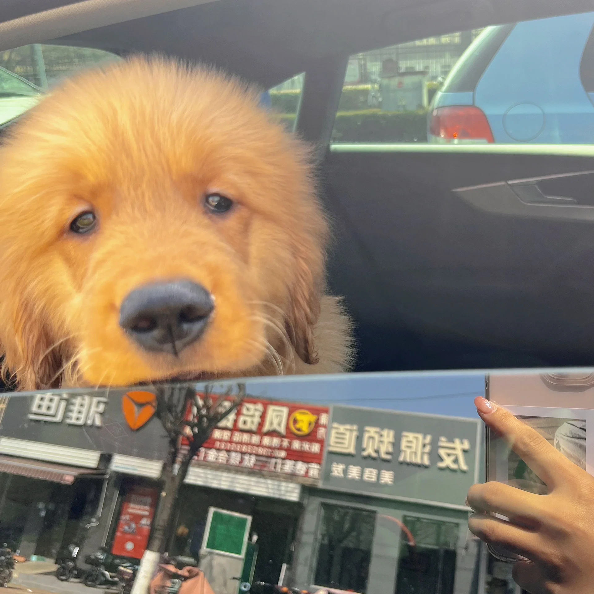 色狗AV影院，探索色情新世界
