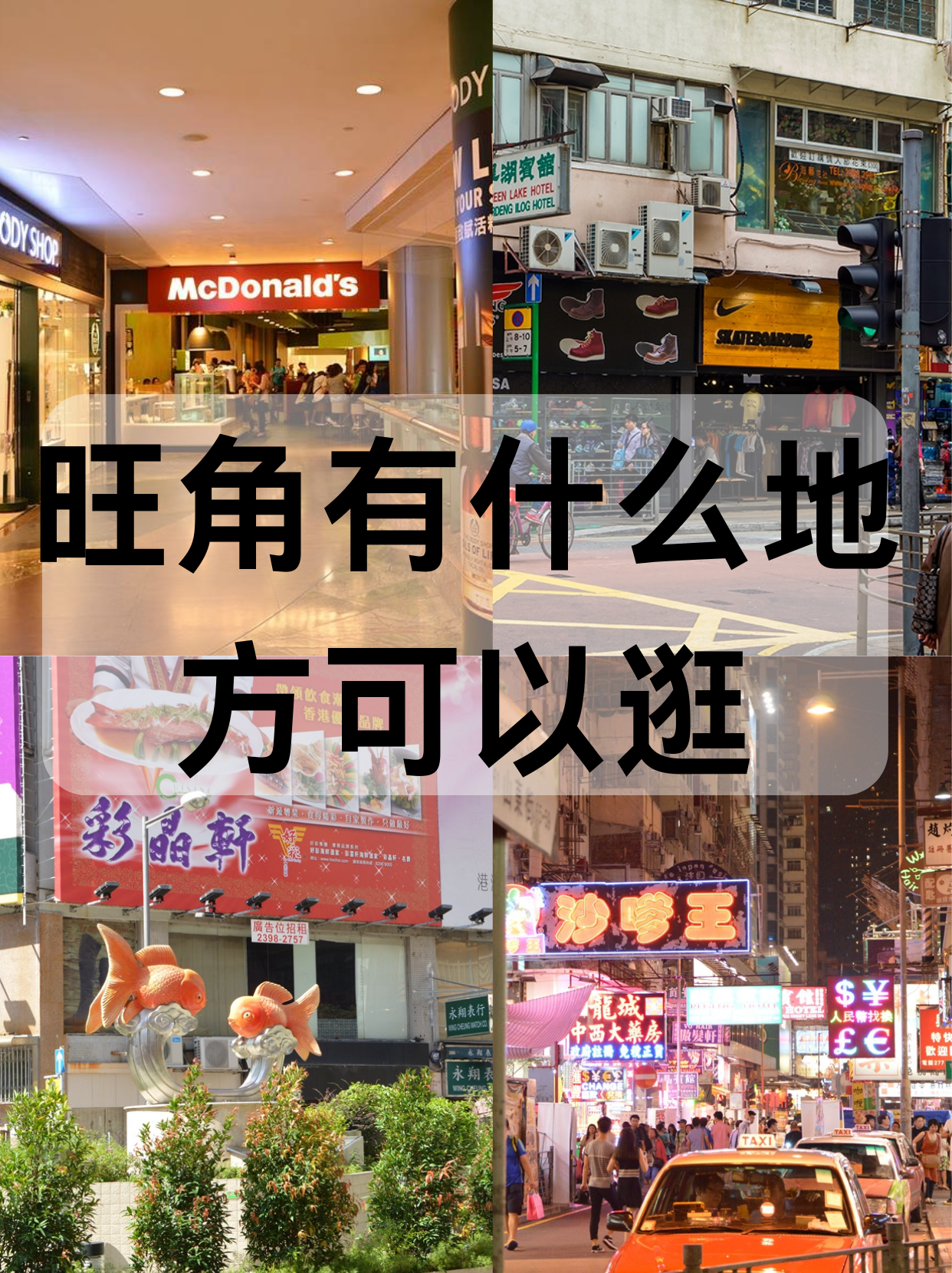 万众图库万众图库，创意与资源的汇聚之地-第2张图片