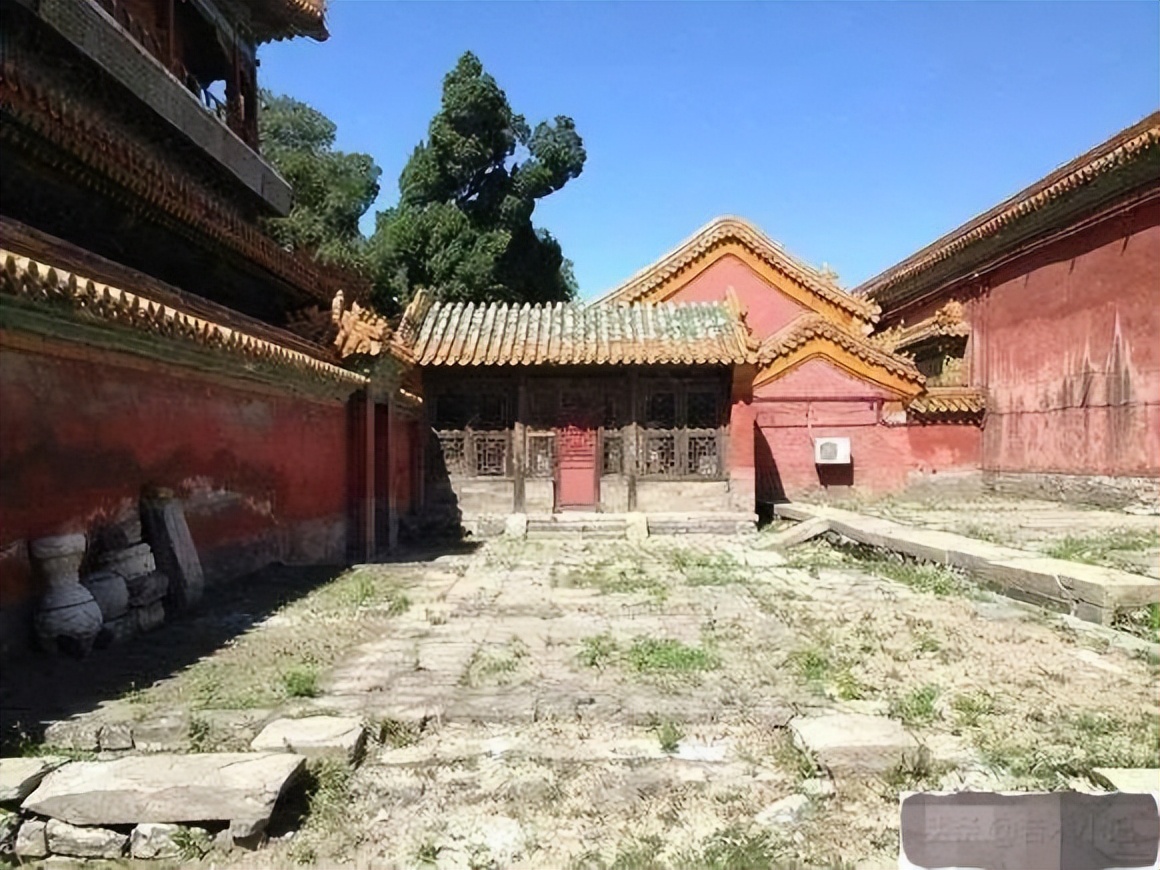 娇妻4P被三个男人伺候视频娇妻4P被三个男人伺候视频