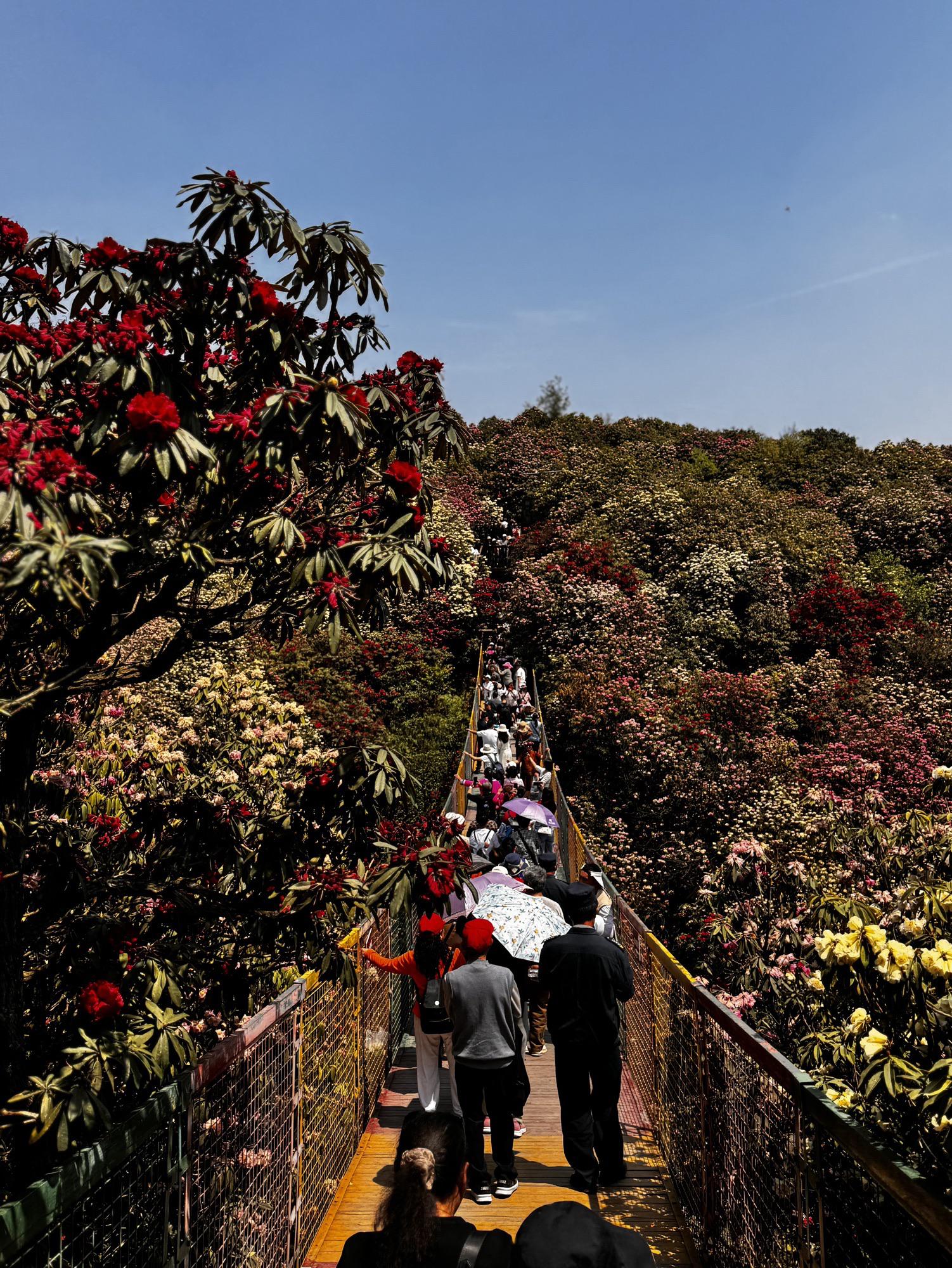 毕节旅游毕节旅游攻略