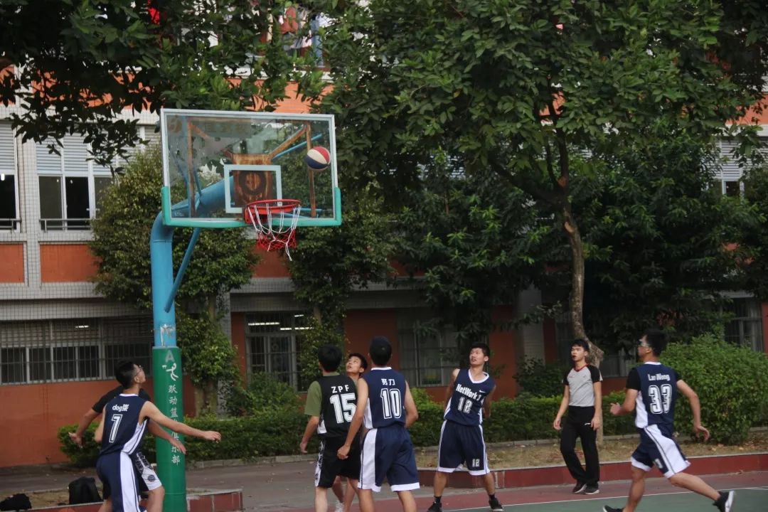 飞翔篮球梦下载飞翔篮球梦下载