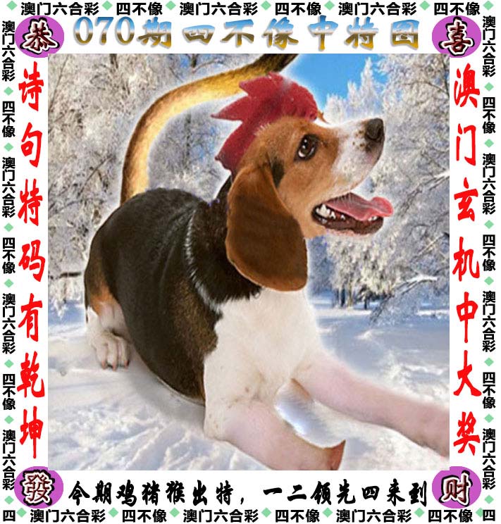 澳门彩资料网站大全