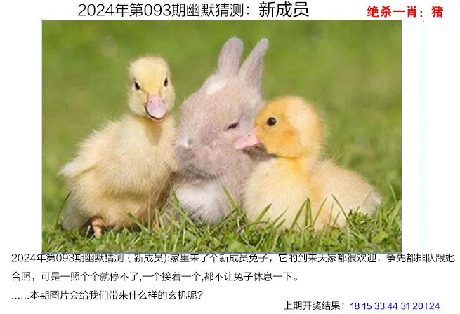 新澳门资料大全免费新鼬介绍