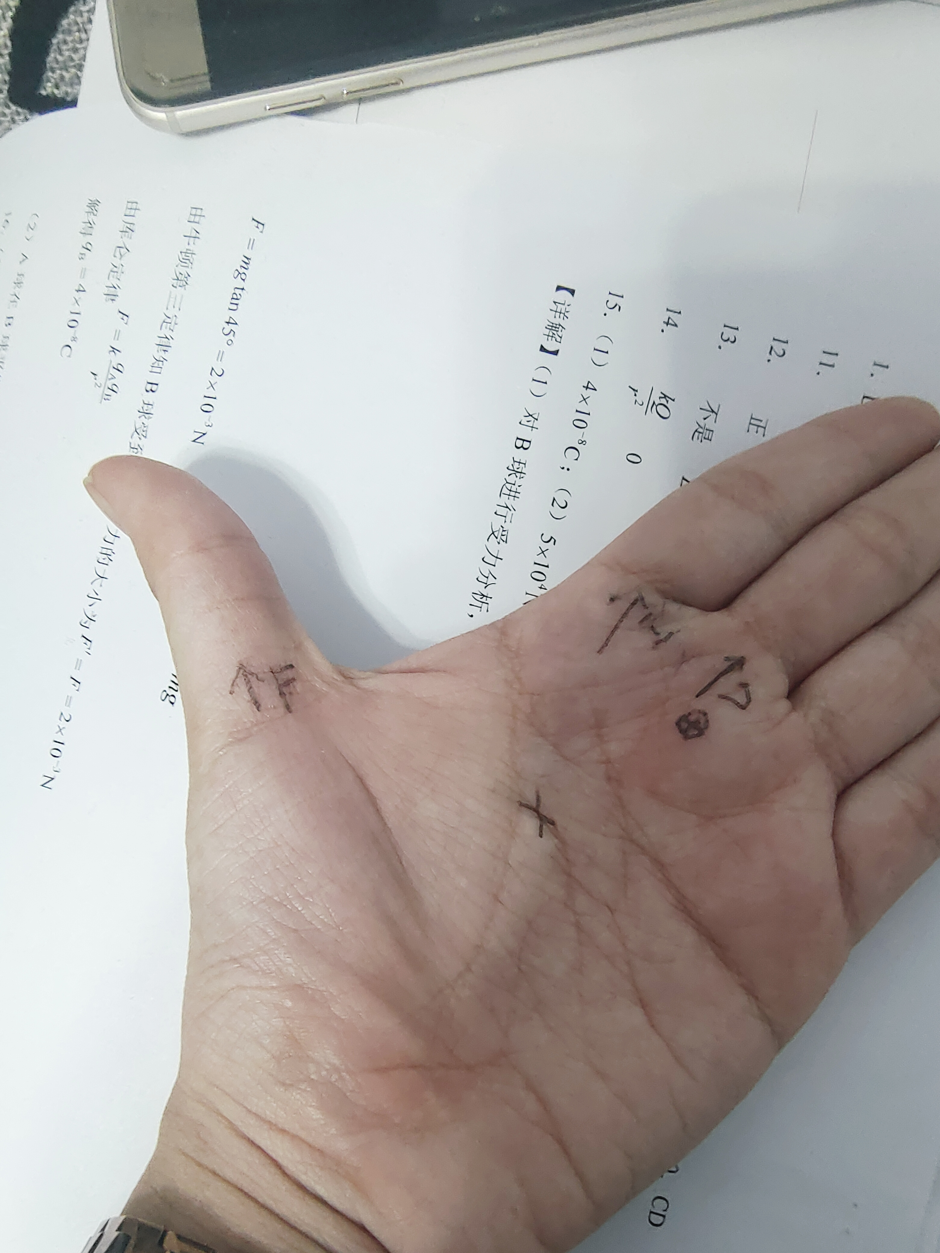 同桌的指尖舞动与专注书写