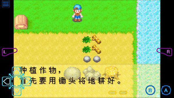 牧场物语矿石镇攻略牧场物语矿石镇攻略-第3张图片
