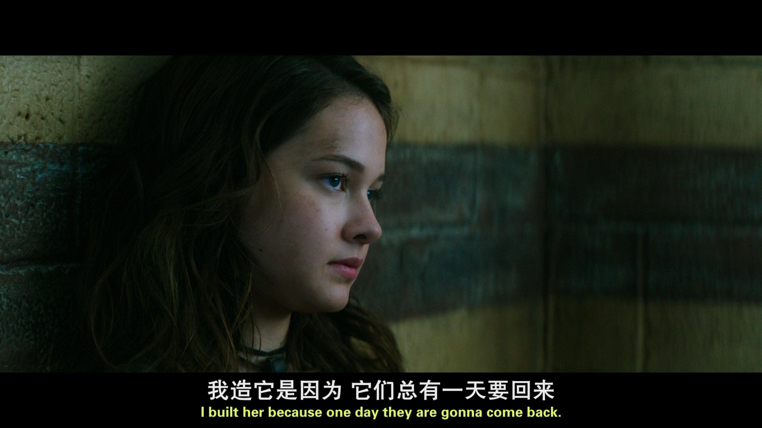 最好看的中文字幕高清电影推荐-第2张图片
