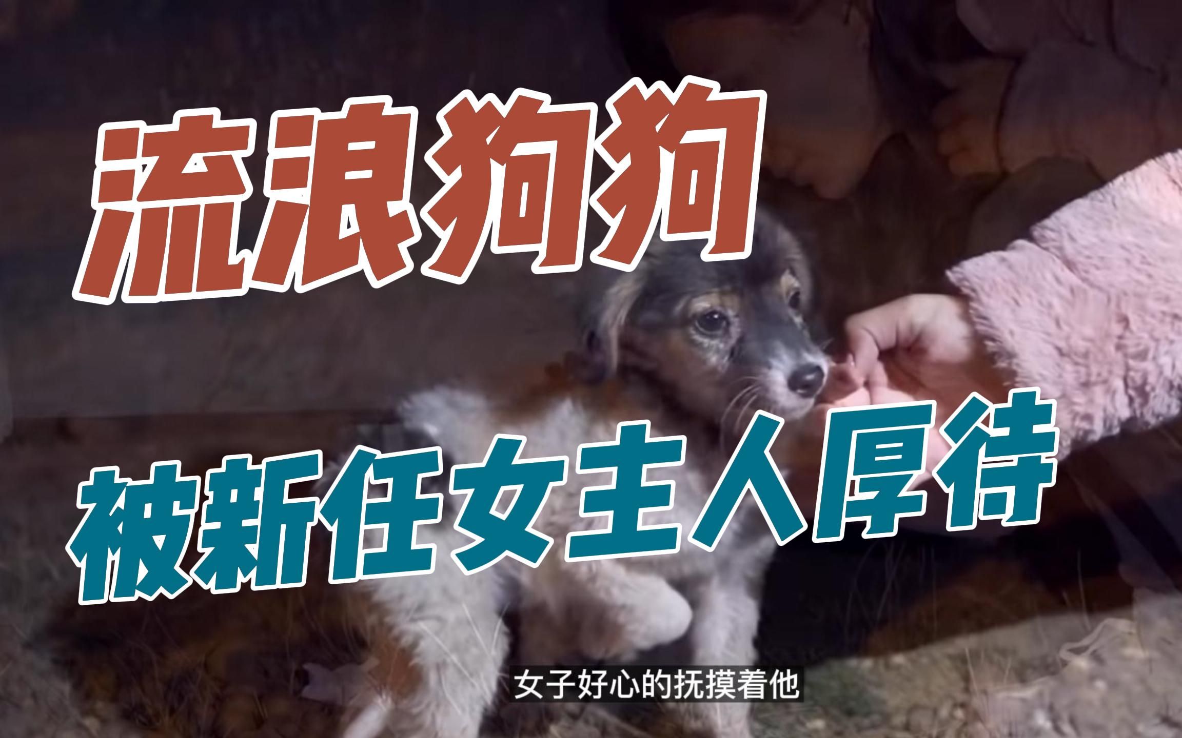 废弃厂狗狗上小说废弃厂中的狗狗轮着上