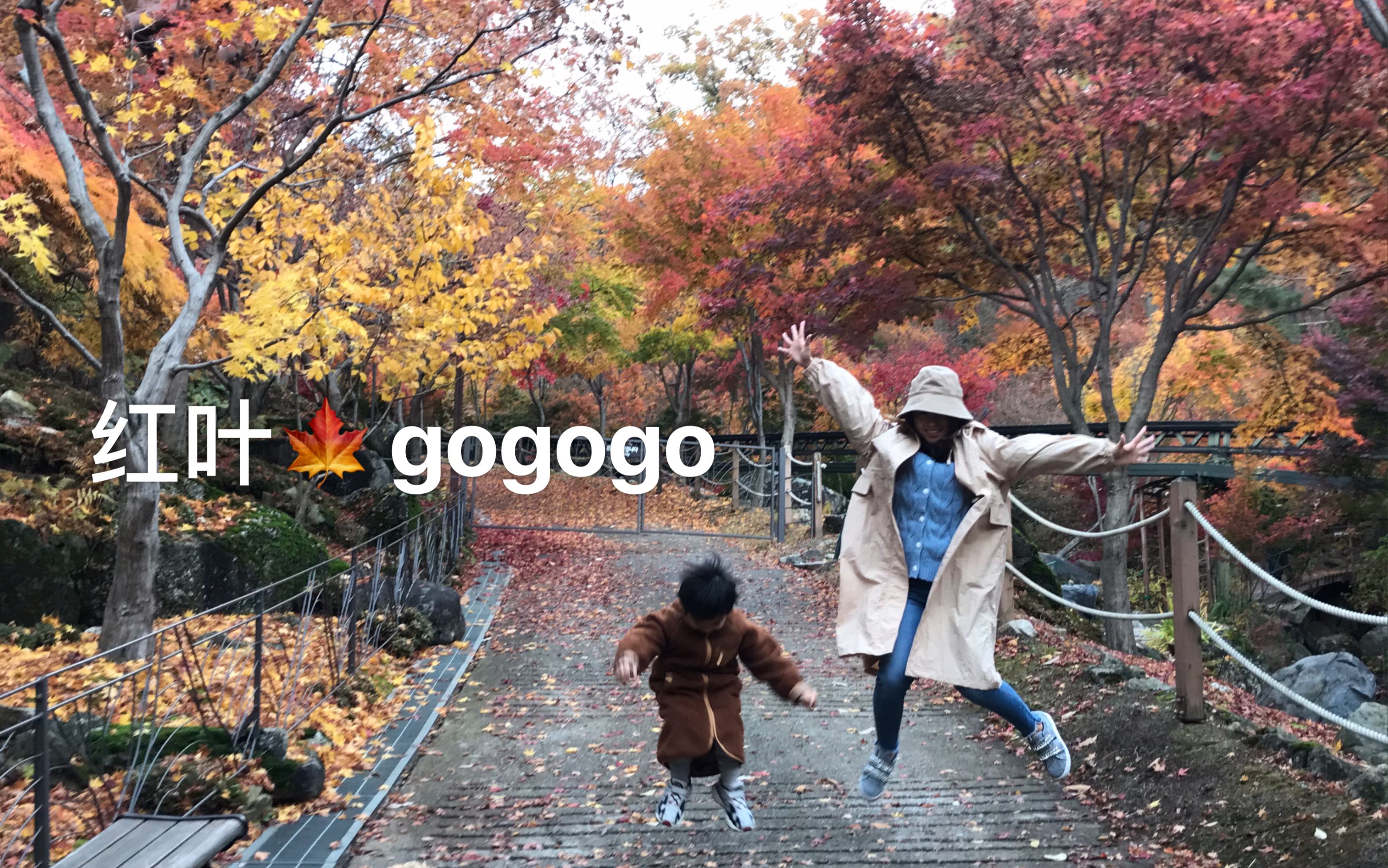探索Gogogo韩国免费观看的奇妙之旅-第1张图片