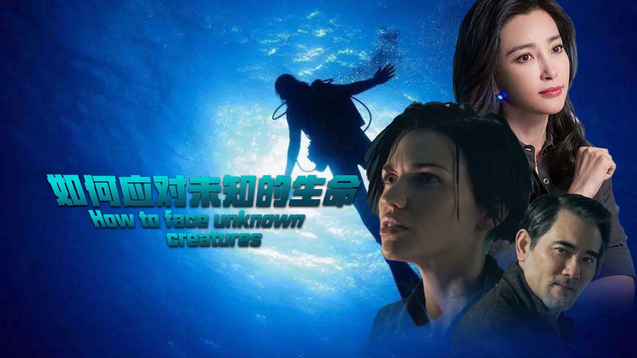蜘蛛 来 去蜘蛛来了都得开导航——应对未知的智慧与策略