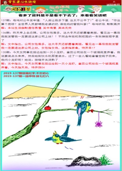 管家婆辉煌版管家婆辉煌版，辉煌历程与未来展望