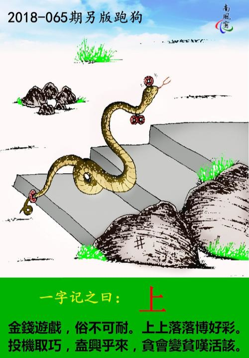 澳门2020码开奖记录