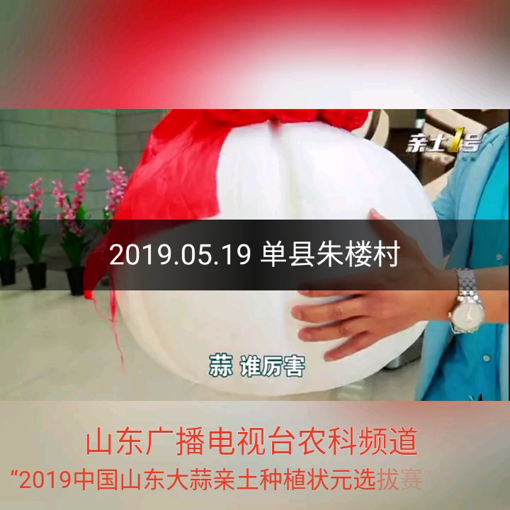 全讯网五湖四海全讯网五湖四海，汇聚信息与智慧-第1张图片