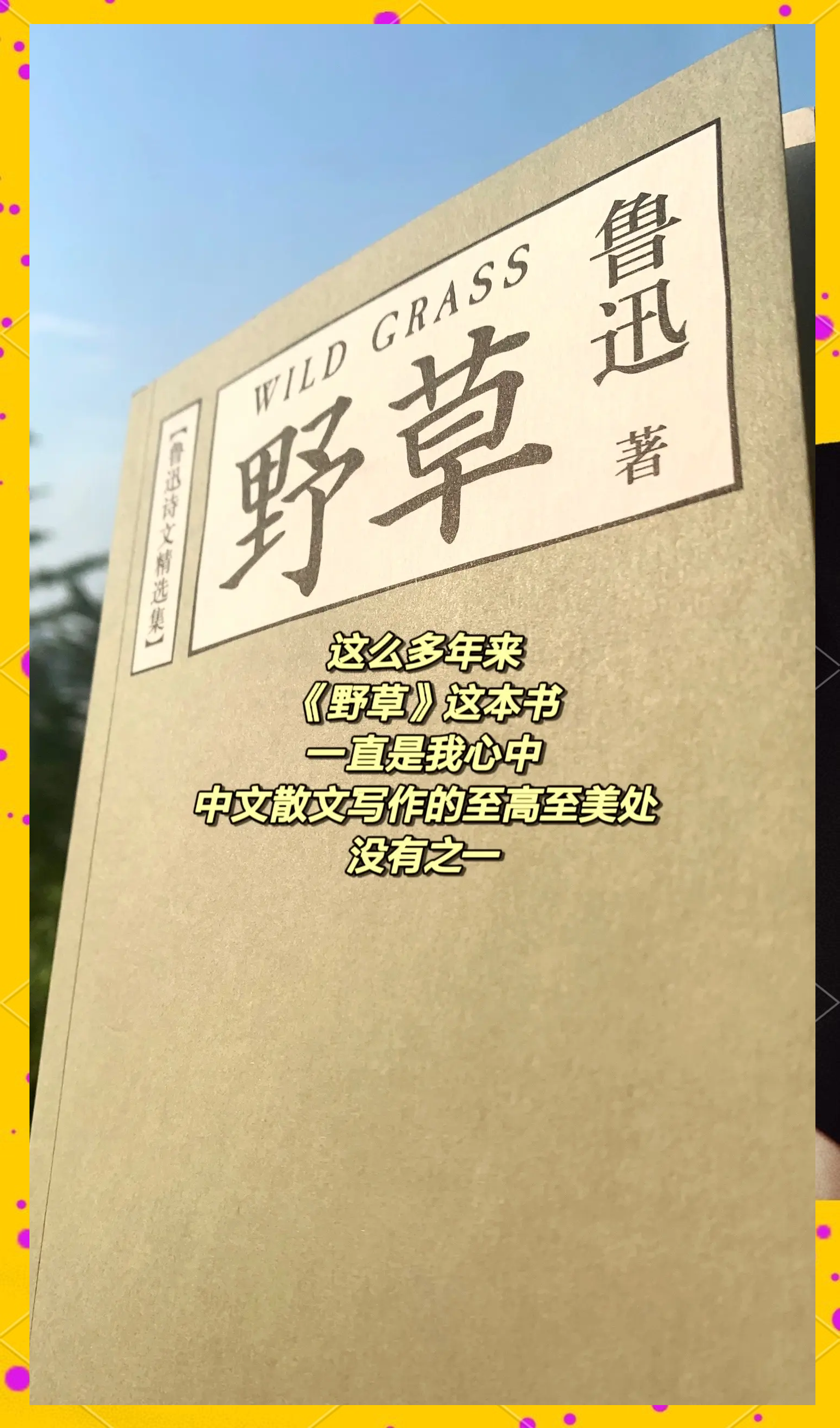 野草视频在线观看免费野草视频在线观看免费，探索视频世界的无限可能-第3张图片