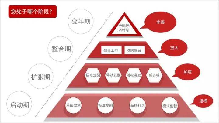 网站推广服务费计入什么科目网站推广服务，提升品牌影响力与业务增长的新引擎