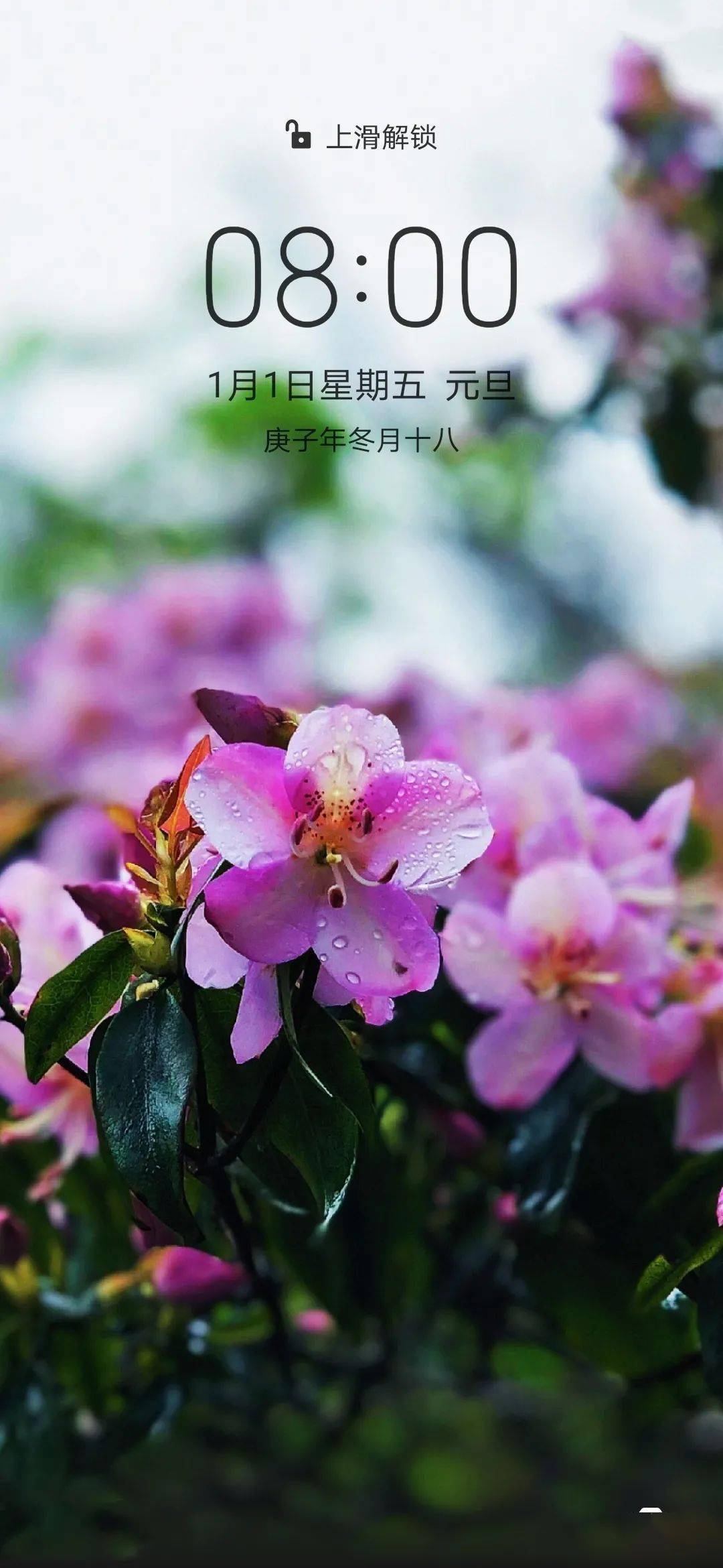 2021手机日本卡一卡二新区，探索无限可能-第3张图片
