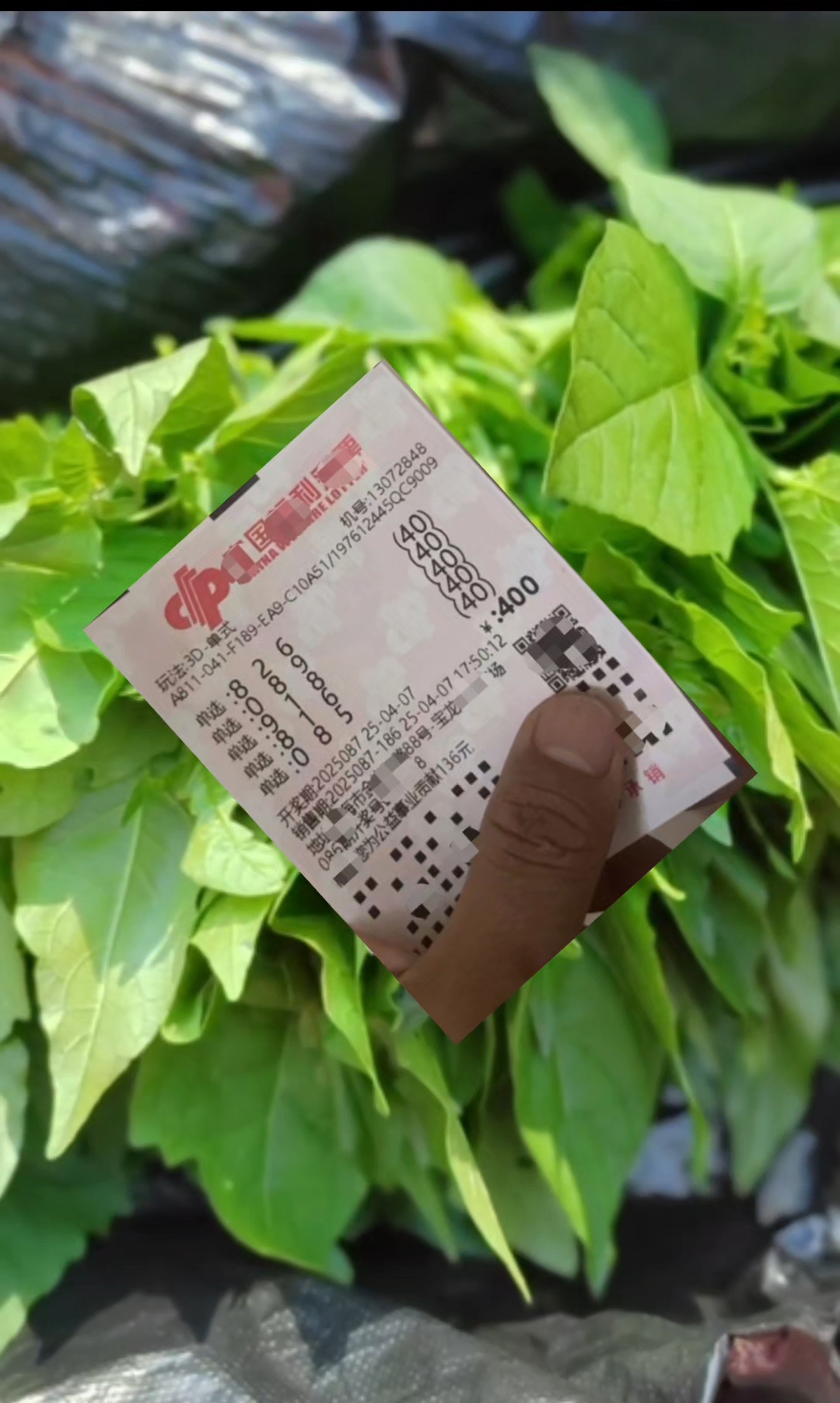看3D开奖结果，揭秘数字背后的神秘力量