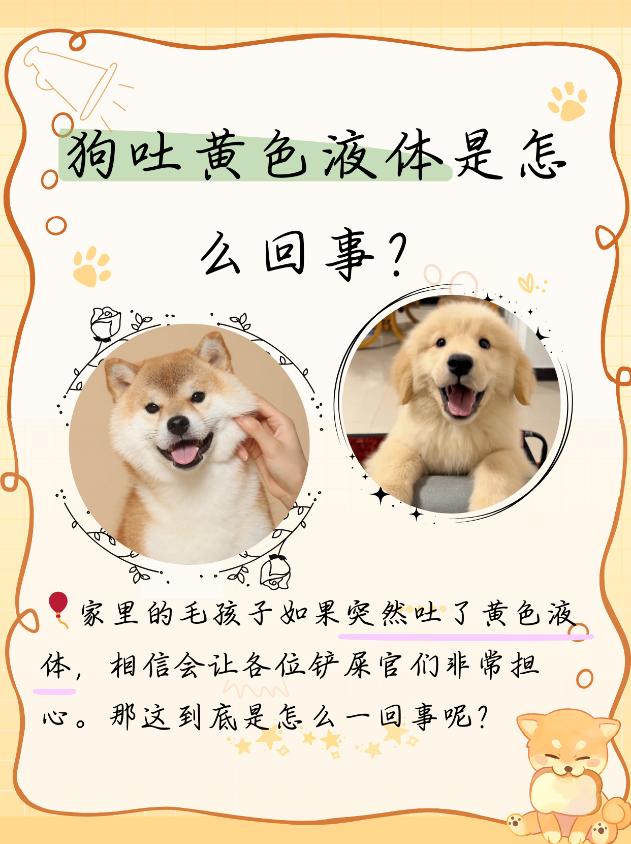 狗半天没尿怎么回事狗狗好厉害，半小时的神奇表现-第2张图片
