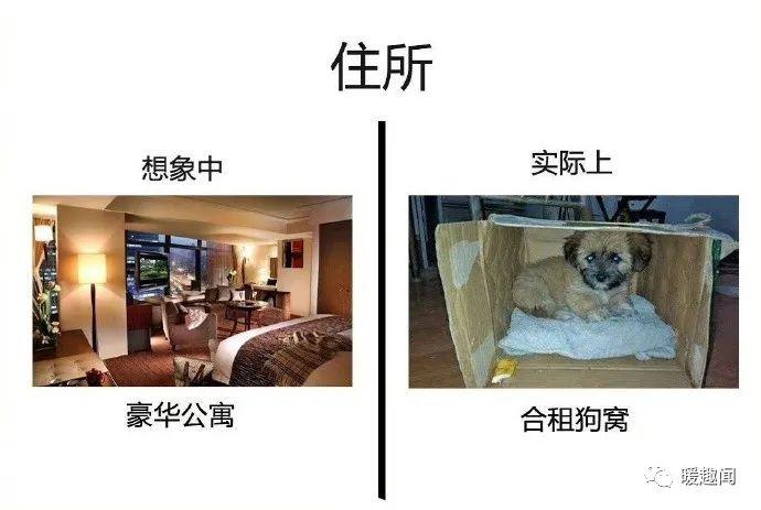 几个老婆婆的沙雕图片几个老婆婆的BGM视频，情感与生活的交响曲