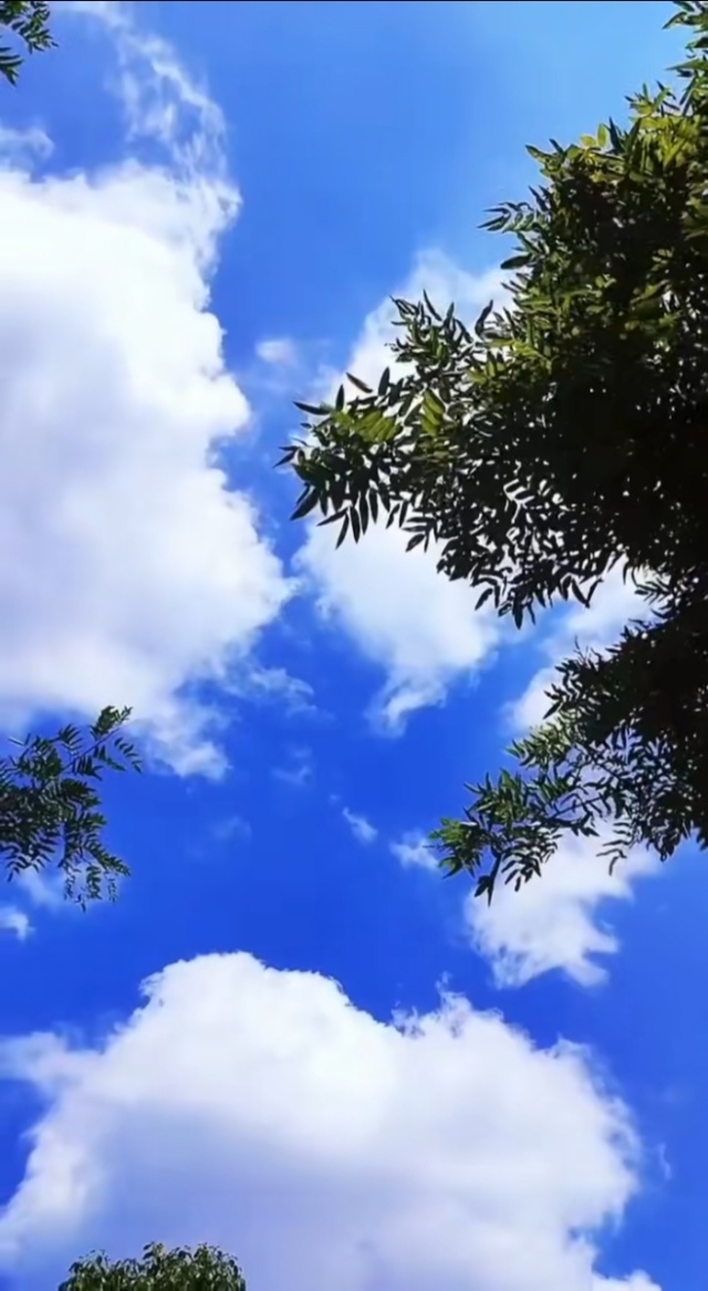 天空600字作文天空之境-第1张图片