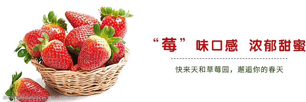 草莓App网站直播草莓APP网站，探索便捷生活的全新体验