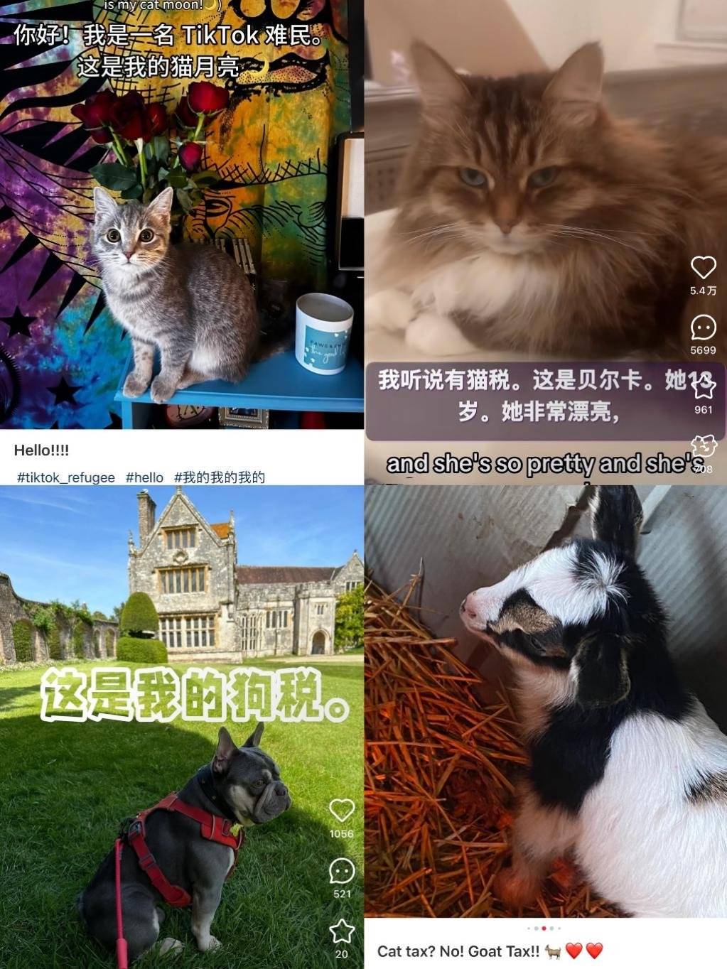 三个一起C你的三个一起C你的