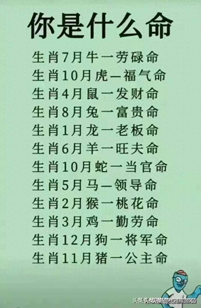 2024最新12生肖号码揭秘