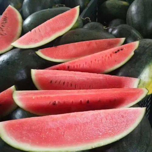 免费吃瓜 爆料曝光 独家揭秘九色蝌蚪，生命的奇迹