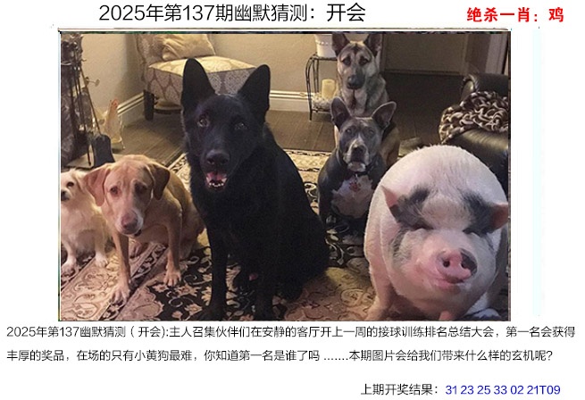 一肖一码100%中奖澳门黄大仙一肖一码100%中奖，探寻澳门黄大仙的神秘魅力-第2张图片