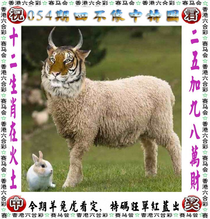 2023年香港开奖结果记录2023年香港开奖结果记录回顾-第1张图片
