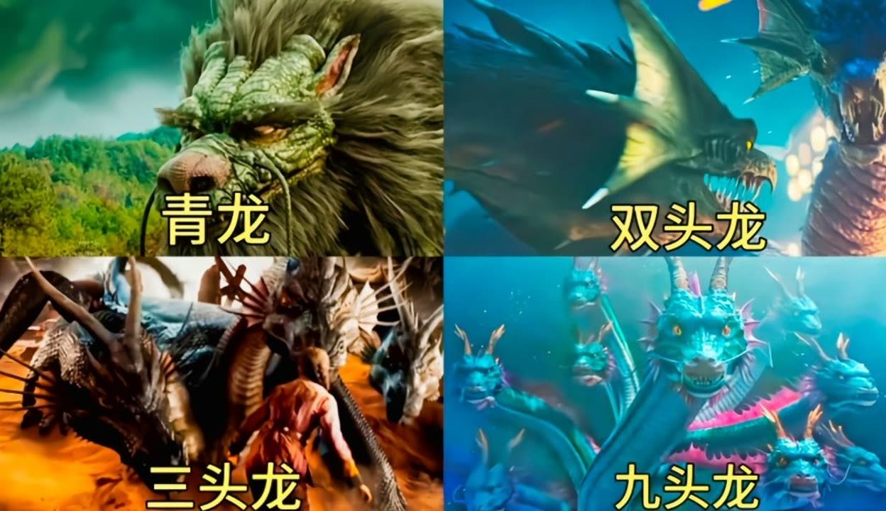 魅九网，网络世界的璀璨明珠-第2张图片