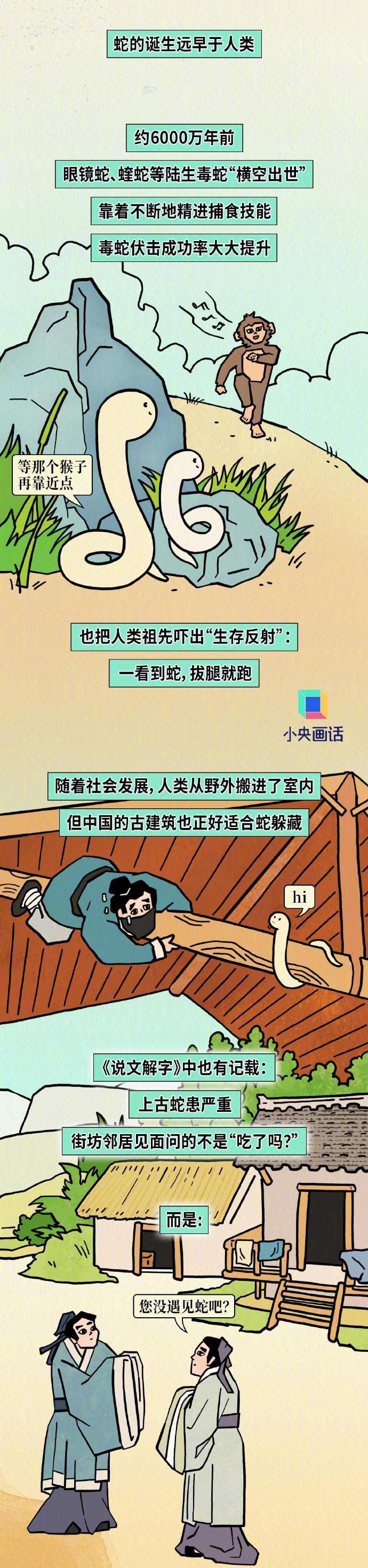 被一条蛇做到崩溃了怎么办被一条蛇做到崩溃-第2张图片