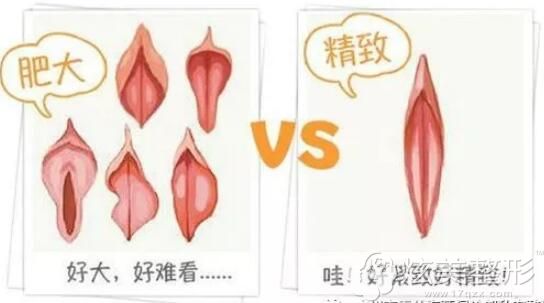 老人玩小处雌女HD另类
