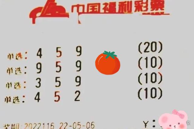 117期开奖结果揭秘117期开奖结果，数字背后的神秘力量-第1张图片
