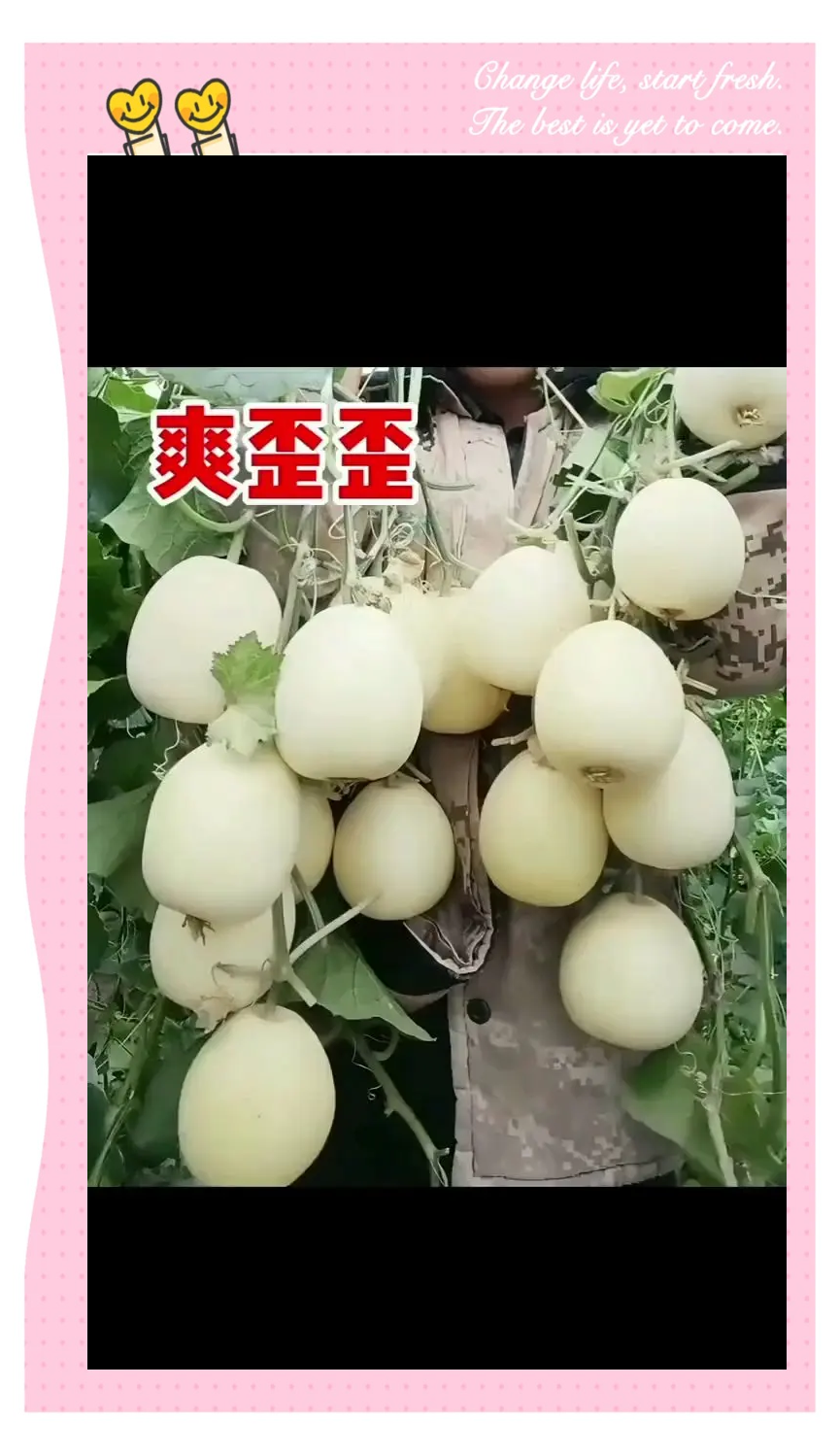 今日大瓜，热门热议的51个热门大瓜