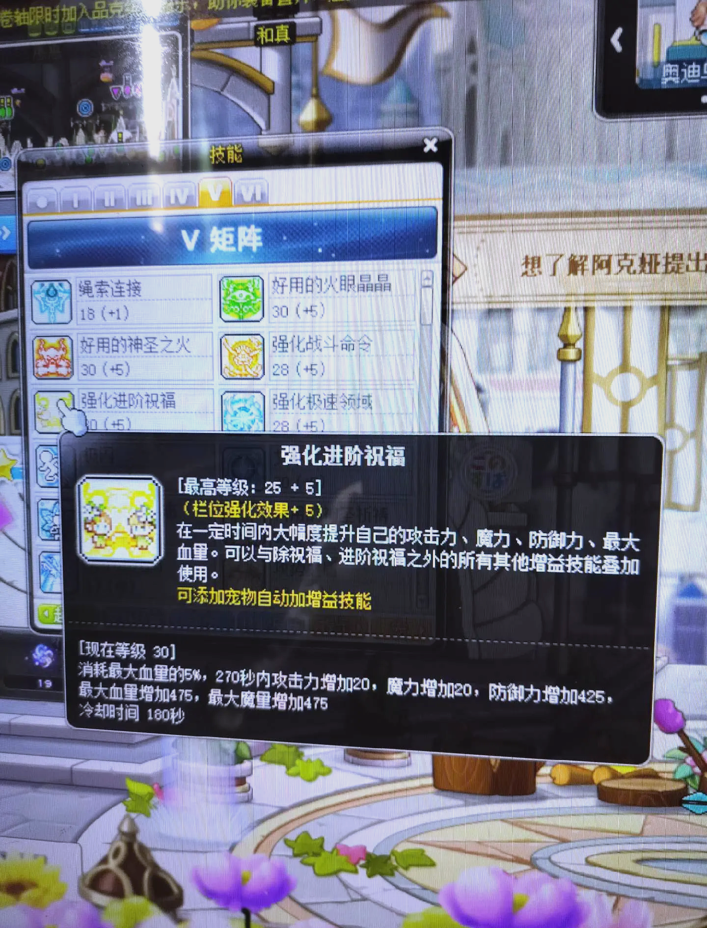 冒险岛恶魔猎手技能冒险岛恶魔猎手技能攻略-第2张图片