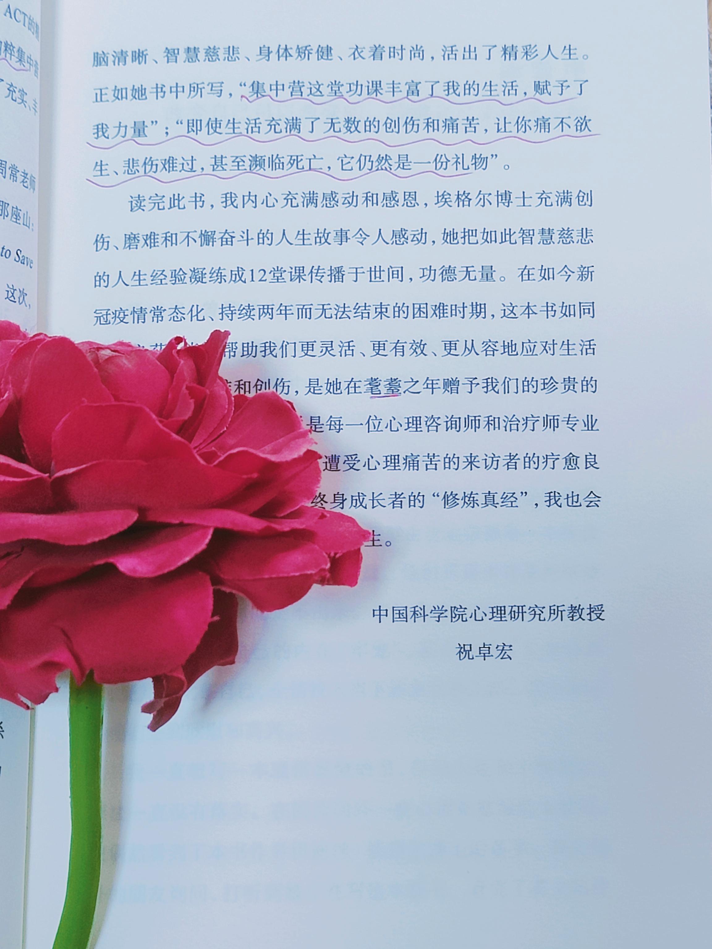 辛福魔方我的博士女友辛福魔方，追寻内心的幸福