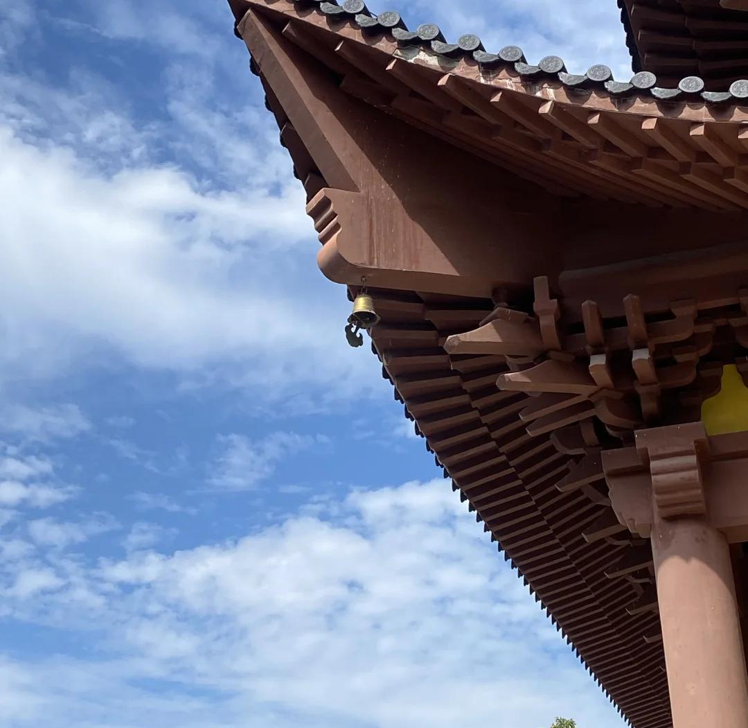 鬼道子博客，探寻神秘世界与心灵之旅