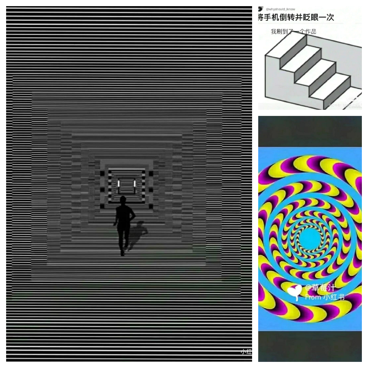 事物的秘密截取事物的秘密-第3张图片
