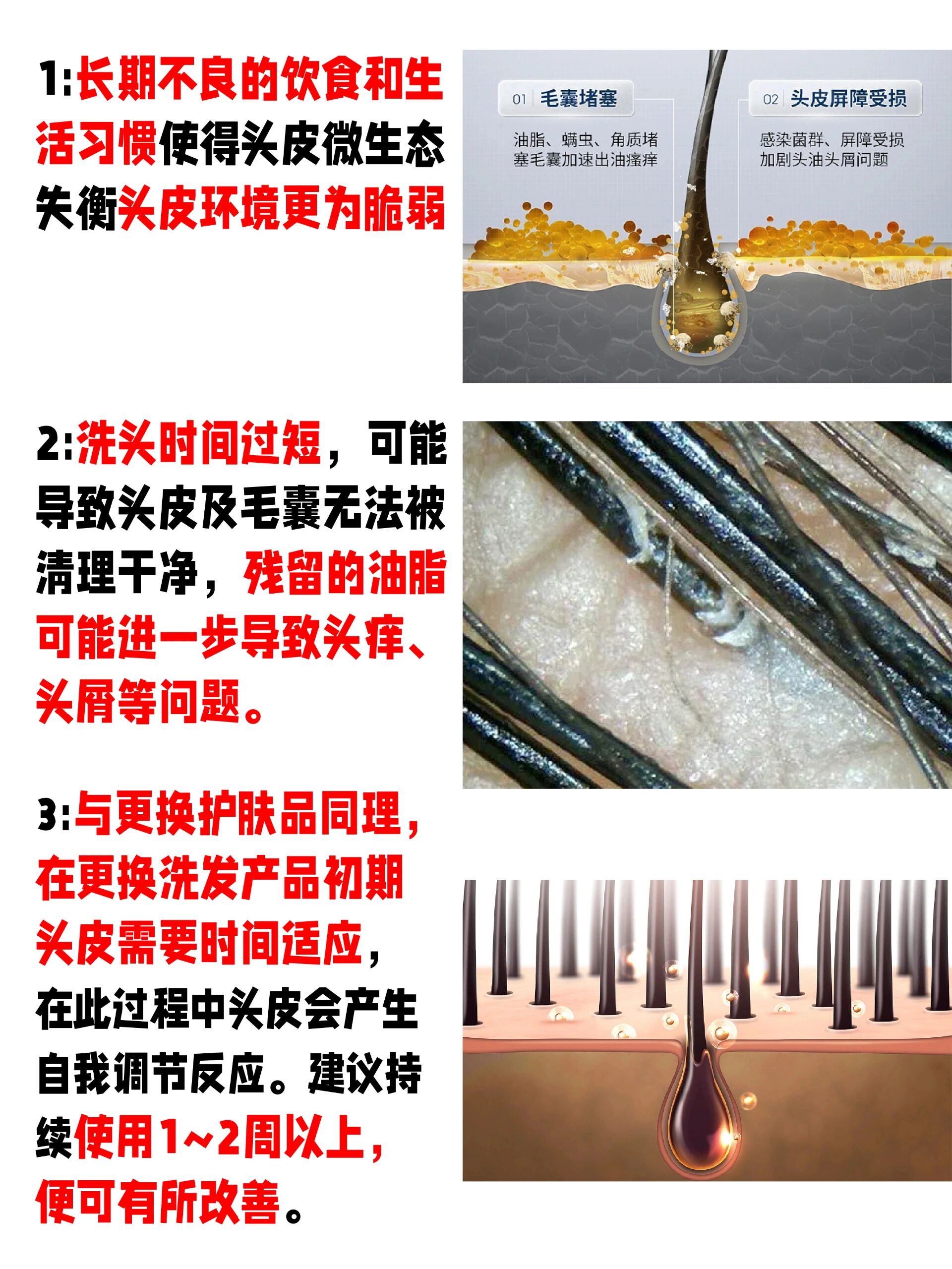 几天没要就这么湿几天没C你是否痒了好多水