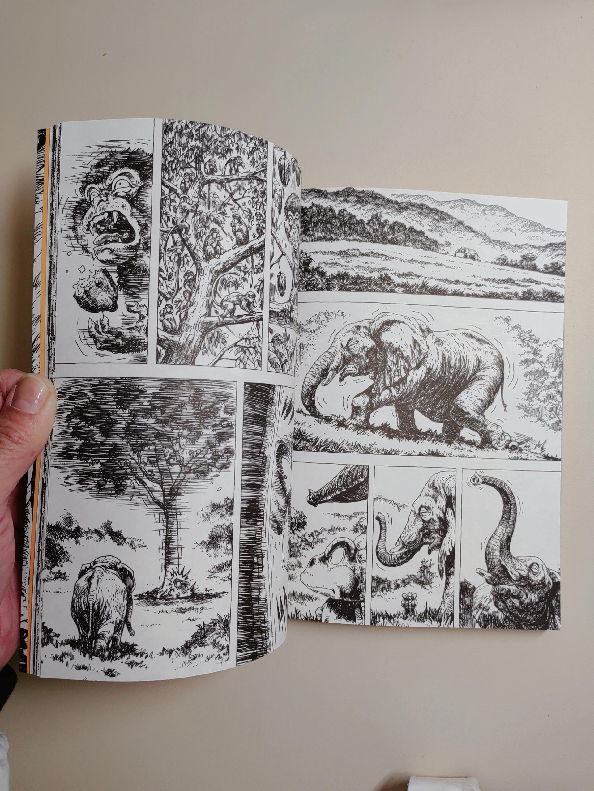 三级漫画，探索视觉艺术的无限可能