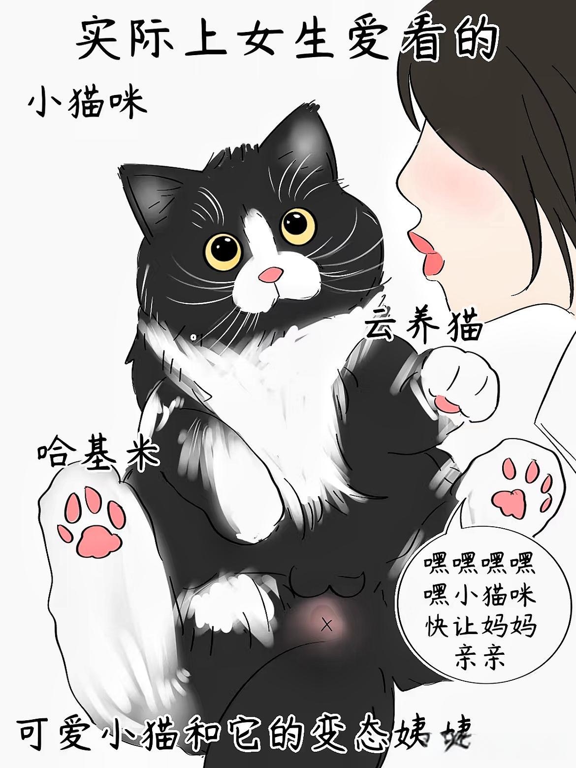 女人与拘猛交漫画女人与拘猛交，深藏的秘密与挑战