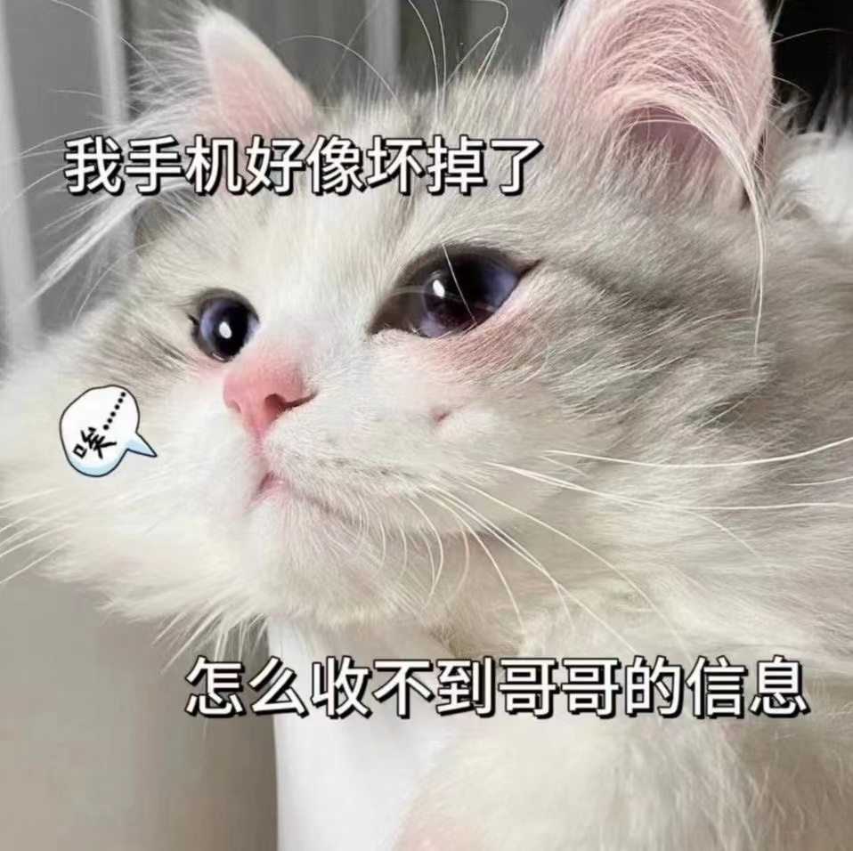男生之间一起做亏亏的事情软件，探索背后的趣味与挑战
