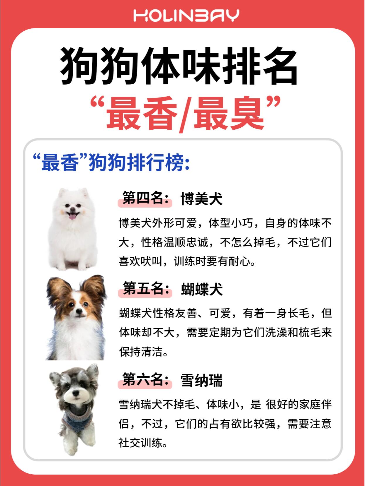 哪种狗最适合女人自己用春雨医生哪种狗最适合女人自己用-第2张图片