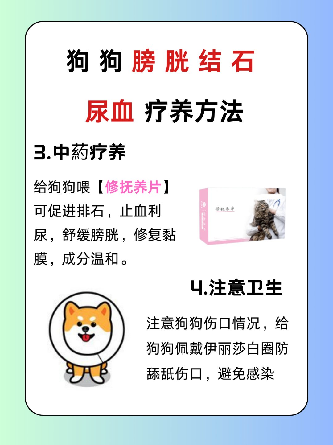 主人尿在肚子里不能流出来-第1张图片