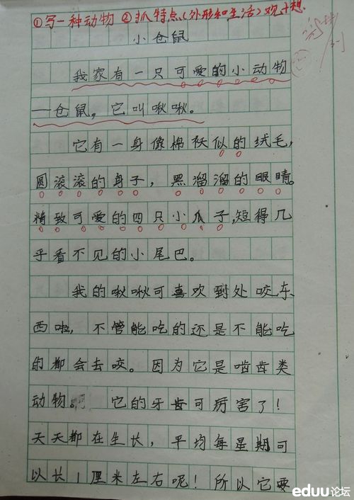品味母亲的郊区作文品味母亲的郊区生活