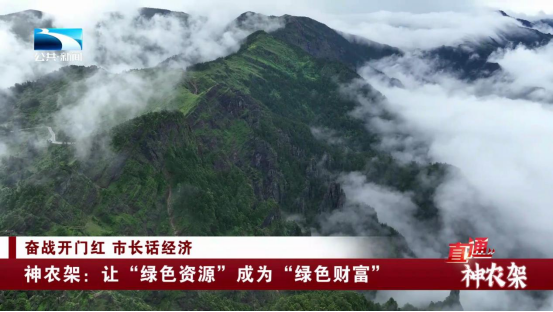 99精产国一二三产区区别解析-第2张图片