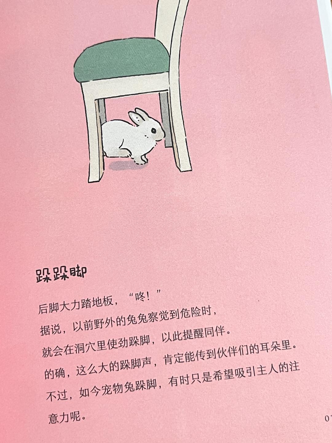 老师的兔子好软