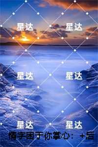 最新伦费观看2019最新伦费观看2019，回顾与展望-第2张图片