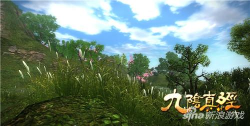 九阴真经 礼包九阴真经特权礼包介绍-第3张图片